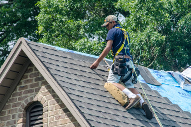 Best Shingle Roofing Installation  in Farngton, MI